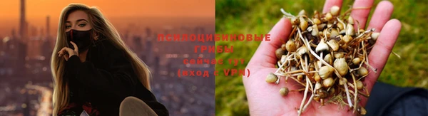 мет Алзамай