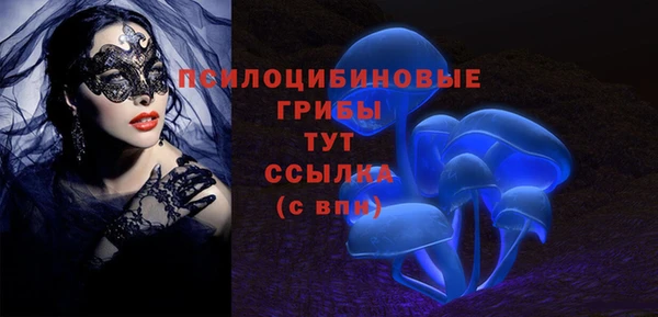первитин Алексеевка