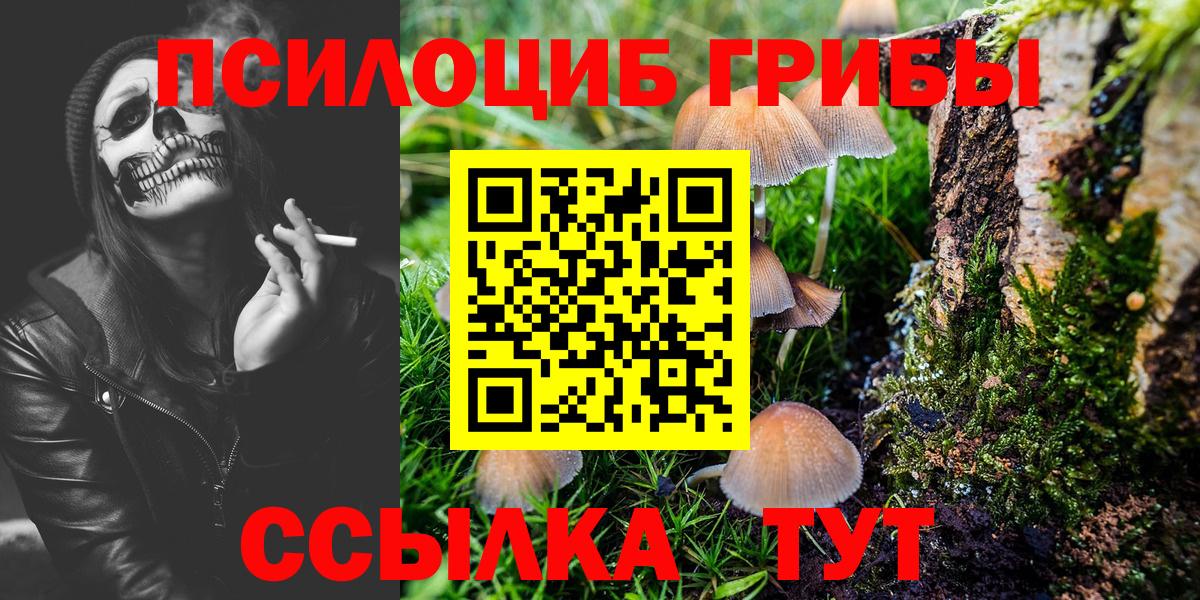 Псилоцибиновые грибы GOLDEN TEACHER Ленинск-Кузнецкий