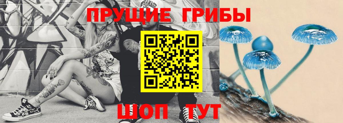 Галлюциногенные грибы мицелий  Псилоцибиновые грибы Psilocybe  Ленинск-Кузнецкий  Вход с VPN 